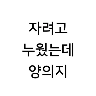 자려고누웠는데양의지